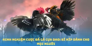 Kinh Nghiệm Cược Đá Gà Cựa Dao